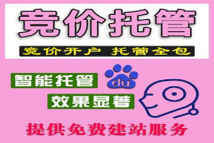 SEM推广代运营服务案例解析